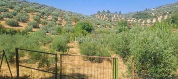 4 غرف نوم منزل في Cabra, Spain رقم 142137 5