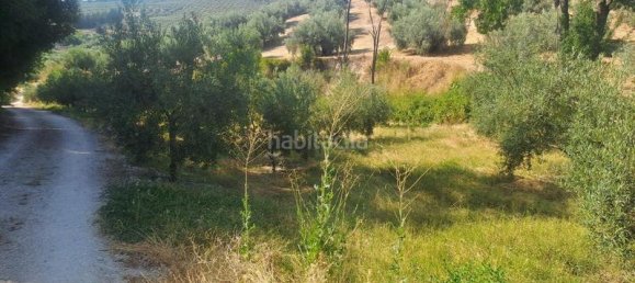 4 غرف نوم منزل في Cabra, Spain رقم 142137 4