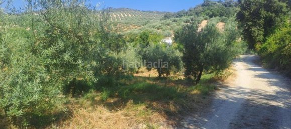 4 غرف نوم منزل في Cabra, Spain رقم 142137 3
