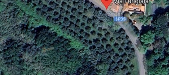 Grundstück in Pisa, Italy 14770m², Nr. 47544 2