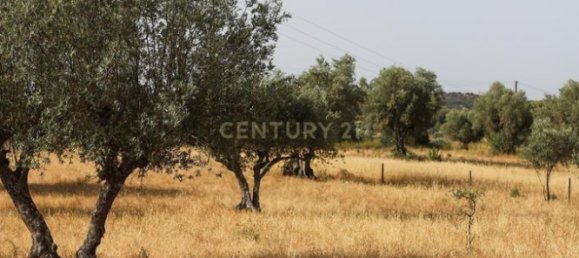 4 غرف نوم منزل في Brotas, Portugal رقم 125692 21