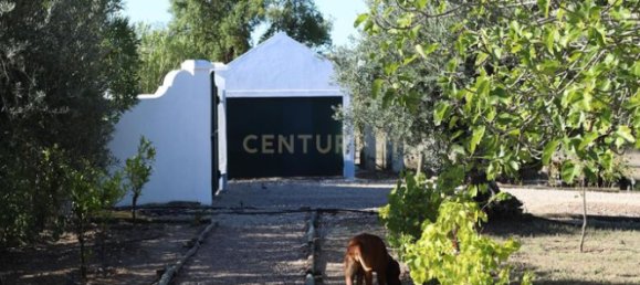 4 غرف نوم منزل في Brotas, Portugal رقم 125692 22