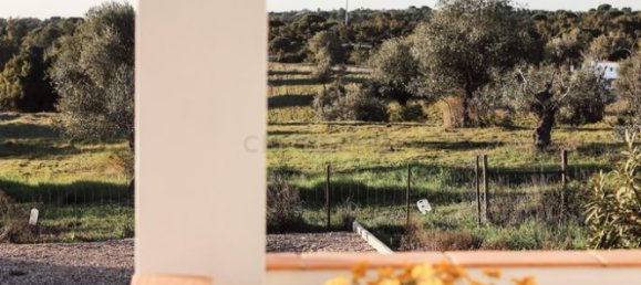 4 غرف نوم منزل في Brotas, Portugal رقم 125692 24