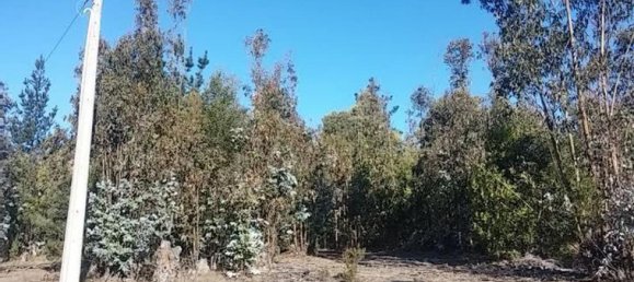  Land in Valparaiso, Chile No. 1116 2