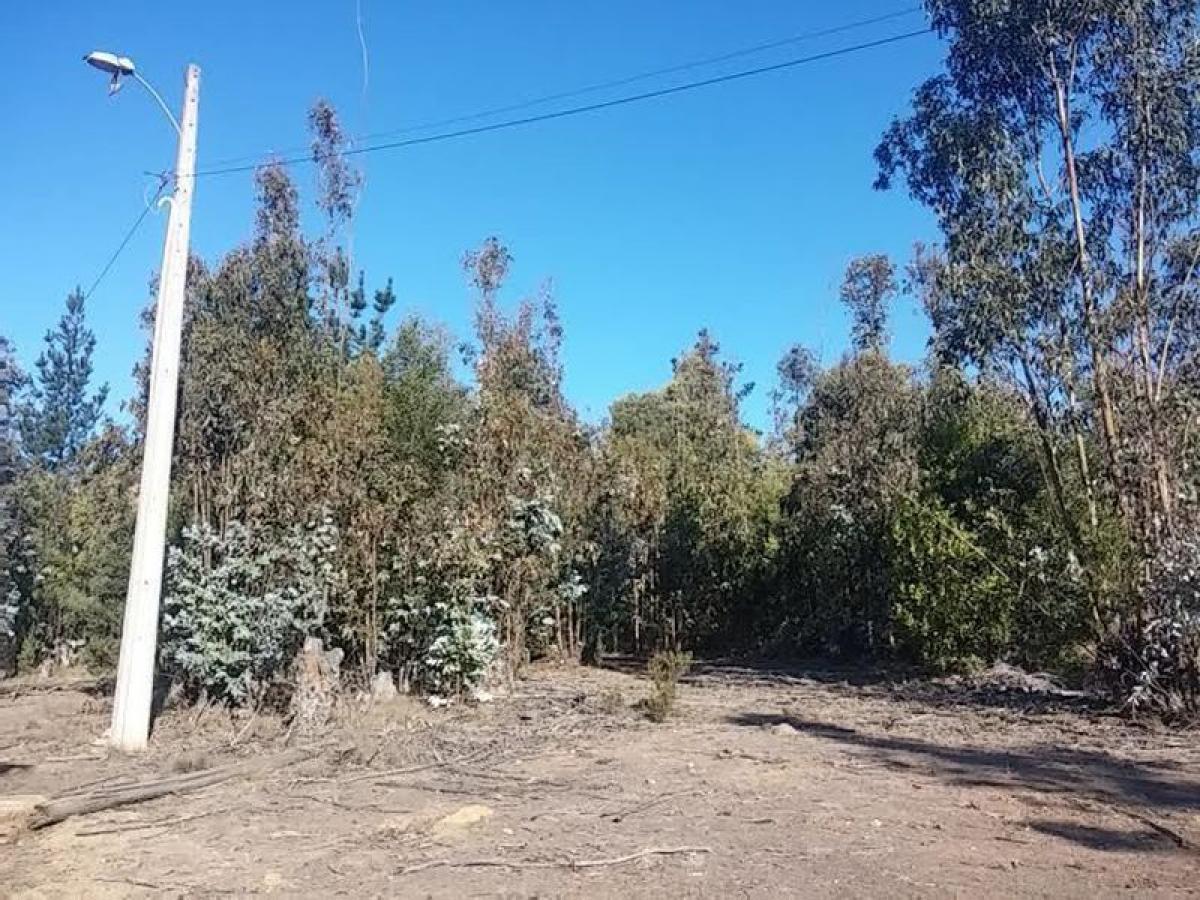  Land in Valparaiso, Chile No. 1116