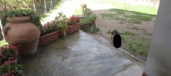 4 rooms Villa in Montefiascone, Italy No. 305329 7