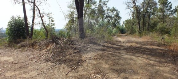 Terrain à Tomar, Portugal 920m² No. 73956 3