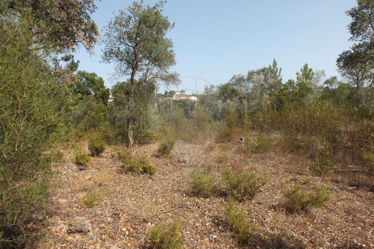 Terrain à Tomar, Portugal 920m² No. 73956