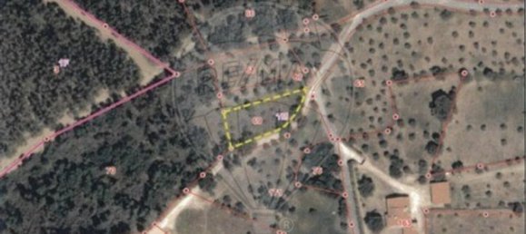 Terrain à Tomar, Portugal 920m² No. 73956 5