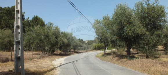 Terrain à Tomar, Portugal 920m² No. 73956 4