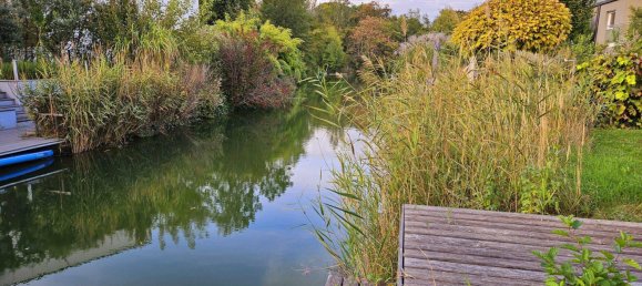 5 rooms Townhouse in Himberg, Austria No. 208189 4