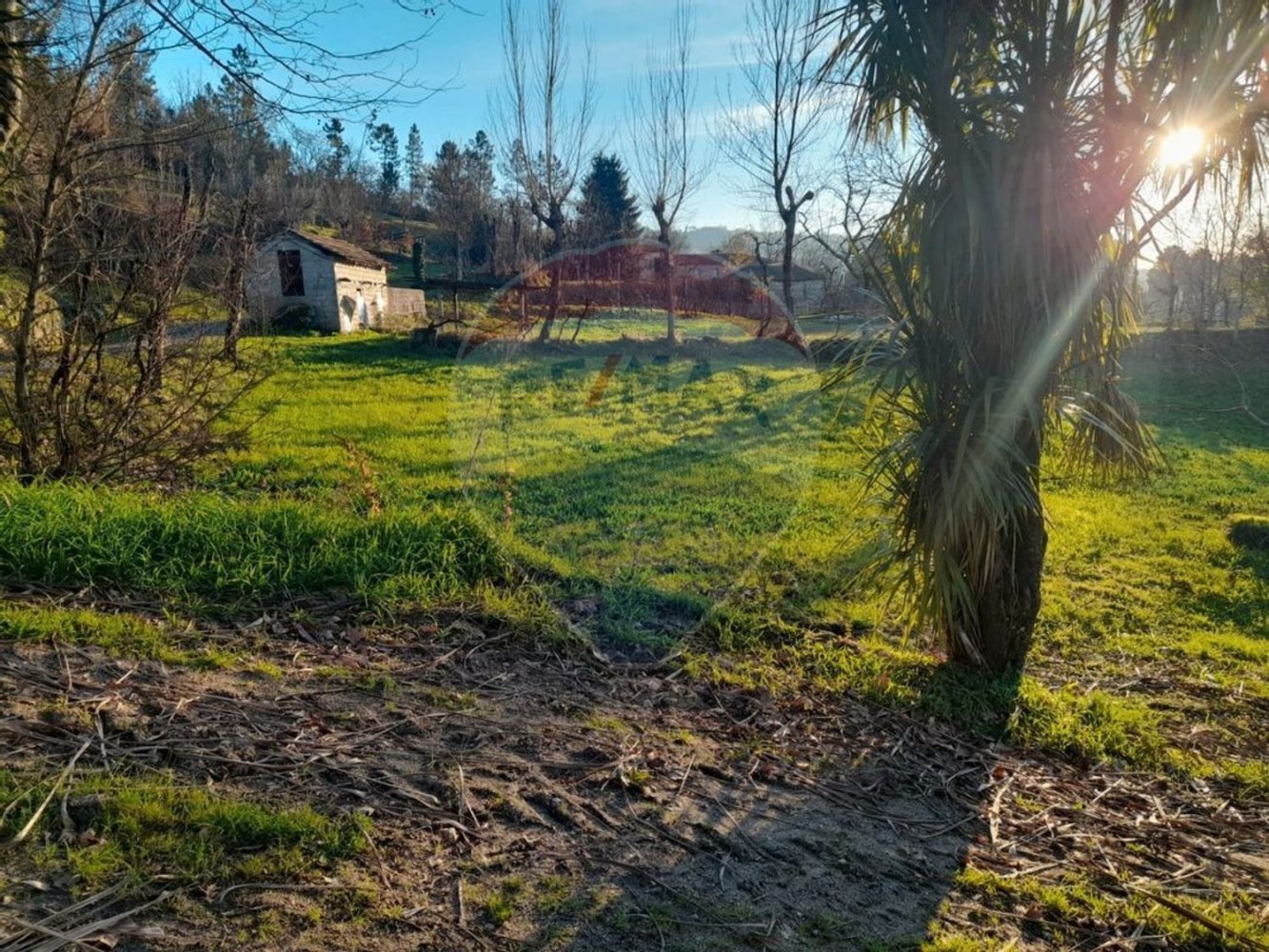 8140m² Land in Marco de Canaveses, Portugal No. 60429