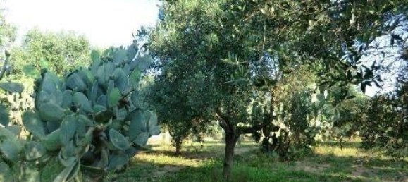 15 rooms House in Brindisi, Italy No. 136773 12