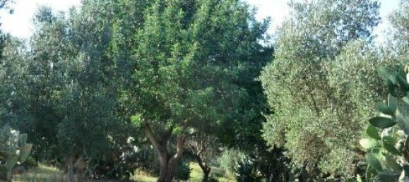 15 rooms House in Brindisi, Italy No. 136773 8