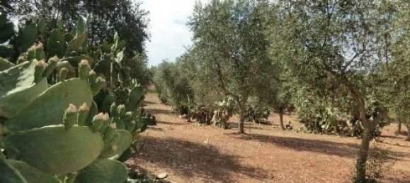 15 rooms House in Brindisi, Italy No. 136773 11