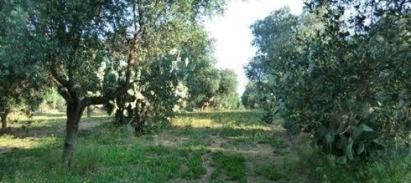 15 rooms House in Brindisi, Italy No. 136773 7