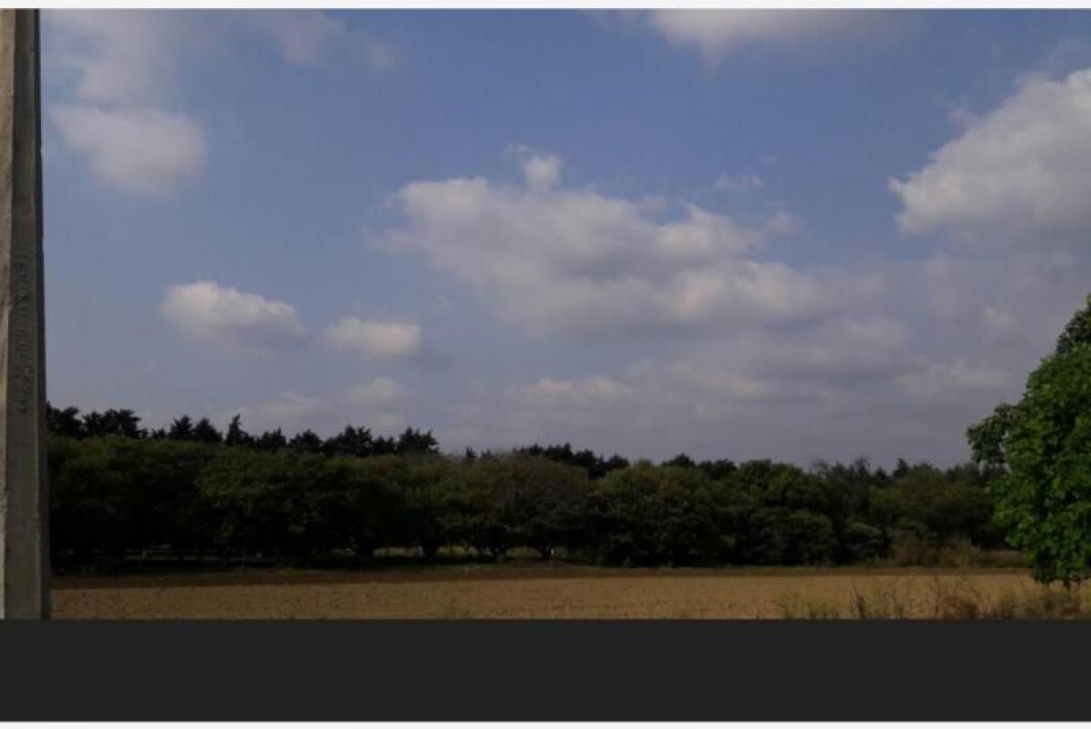 Studio in Morelos, Mexico, Nr. 154143