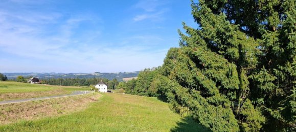 Terreno en St. Martin im Muhlkreis, Austria No. 244046 3