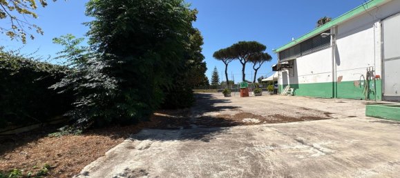  عقار تجاري في Terracina, Italy 425متر مربع رقم 263466 5