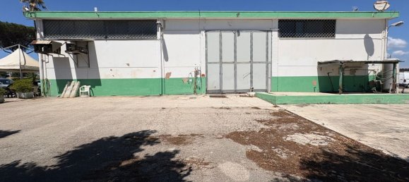  عقار تجاري في Terracina, Italy 425متر مربع رقم 263466 13