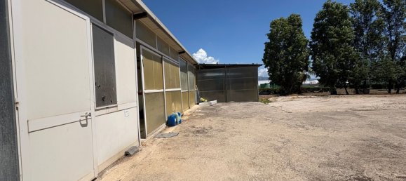  عقار تجاري في Terracina, Italy 425متر مربع رقم 263466 16