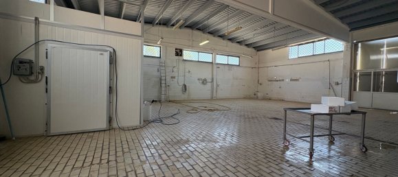  عقار تجاري في Terracina, Italy 425متر مربع رقم 263466 20