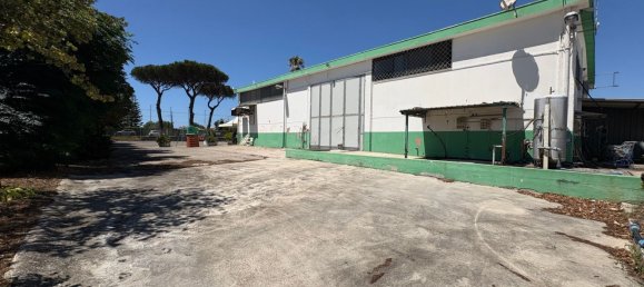  عقار تجاري في Terracina, Italy 425متر مربع رقم 263466 10