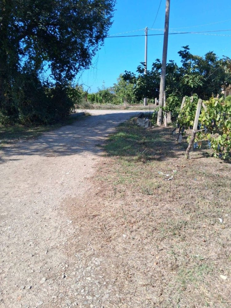 6 bedrooms House in Capaccio Paestum, Italy No. 391205