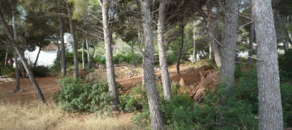 Grundstück in Moraira, Spain, Nr. 92234 8