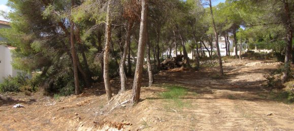 Grundstück in Moraira, Spain, Nr. 92234 9