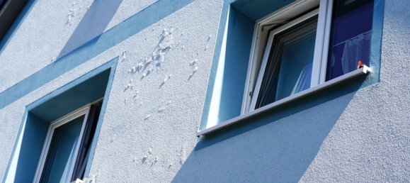 Bâtiment à Bayreuth, Germany 209m² No. 284616 7