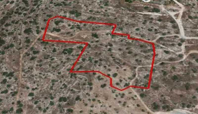 Земельный участок 19443м² в Агиос Тихонас, Кипр № 8934