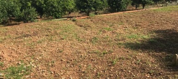 1800m² Land in Trabia, Italy No. 256129 6