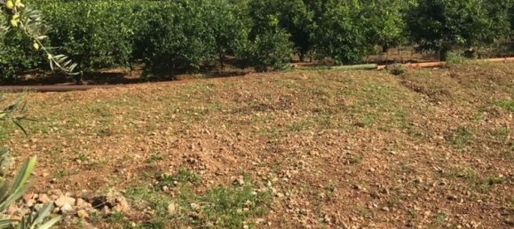 1800m² Land in Trabia, Italy No. 256129 3