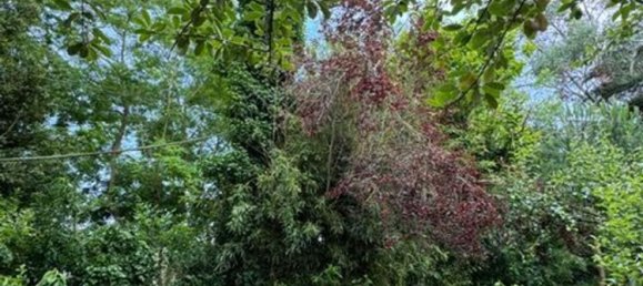 5 bedrooms House in Santander, Spain No. 153420 36