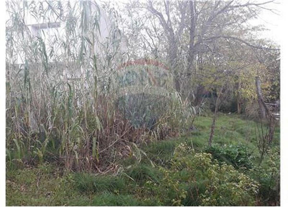 Terreno en Campo Creado, Argentina No. 47075
