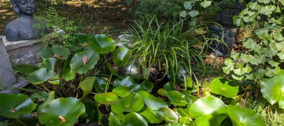 3-Zimmer Haus in Trier-Saarburg, Germany, Nr. 263129 19