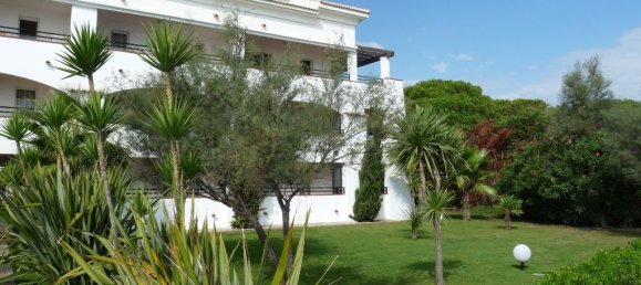 1 chambre Appartement à San-Nicolao, France No. 156808 11