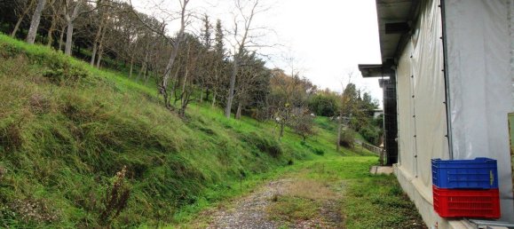 Almacén en Sant'Elpidio a Mare, Italy 390 m² No. 355828 11