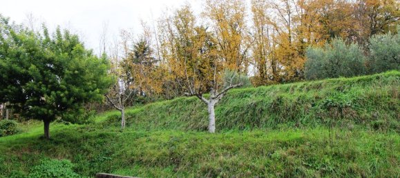 Almacén en Sant'Elpidio a Mare, Italy 390 m² No. 355828 7