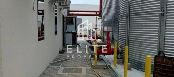 7040m² Warehouse in Jebel Ali, UAE No. 97759 4