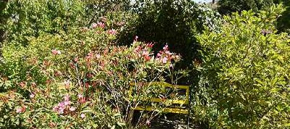 4 Schlafzimmer Stadthaus in Hanover, Germany, Nr. 227640 13