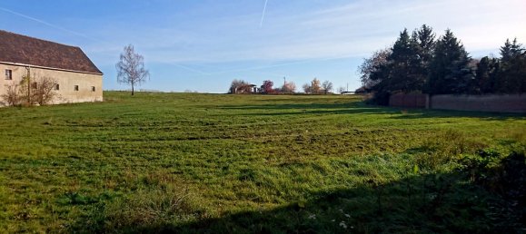 6 Schlafzimmer Bauernhof in Halle, Germany, Nr. 149563 8