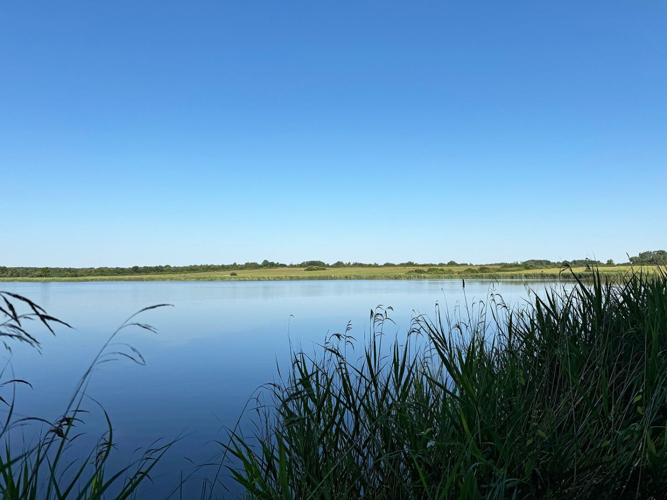 Grundstück in Mezieres-en-Brenne, France, Nr. 222847
