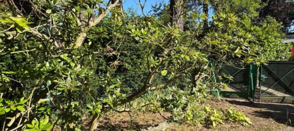  قطعة أرض في Tegel, Germany رقم 320270 6