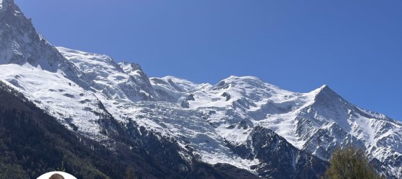 Apartamento T3 em Chamonix-Mont-Blanc, France N.º 204627 13