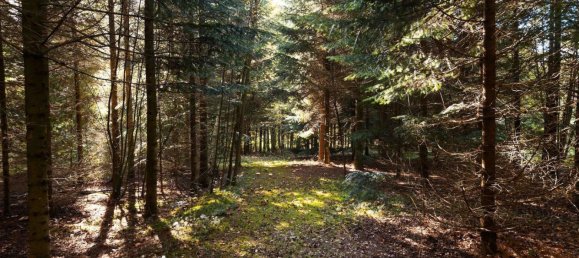 7 rooms Farm in Deggendorf, Germany No. 199935 35