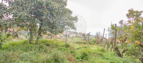 3 غرف نوم منزل في Baiao, Portugal رقم 24862 5