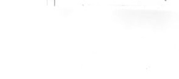 5 Schlafzimmer Wohnung in Mulazzo, Italy, Nr. 326820 12