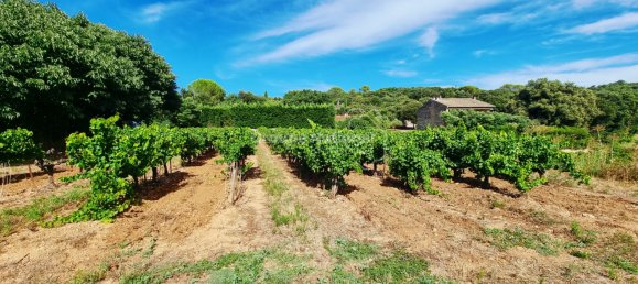 Grundstück in Gard, France, Nr. 297583 4